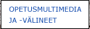 Opetusmultimedia ja -vlineet